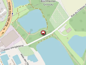 Carte de Sto à Schiltigheim