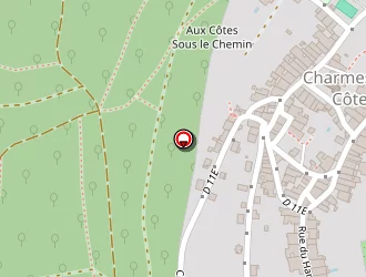 Carte de Hairstyle à Charmes-la-côte