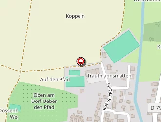 Carte de Schaeffer Daniel à Quatzenheim