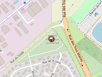 Carte de Vip Car Solutions à Hœnheim