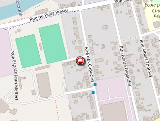 Carte de Desanlis Pérrine à Saint-dizier