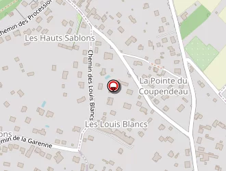 Carte de Bourdin Thierry à Linas