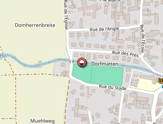 Carte de Burger Georges (earl) à Dingsheim