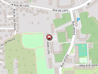 Carte de Urgence (services Locaux) à Saint-forgeux