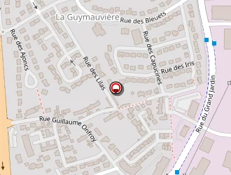 Carte de Le Menn Optique à Saint-malo