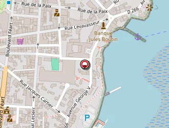 Carte de Port Public à Dinard