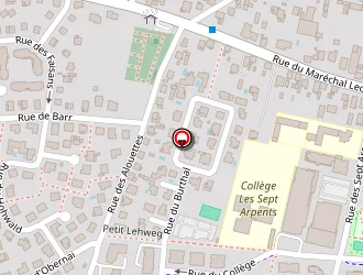 Carte de S.r.i à Souffelweyersheim