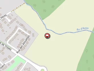 Carte de Rameau Vincent à Guignes