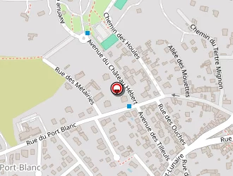 Carte de Cantine Scolaire à Dinard