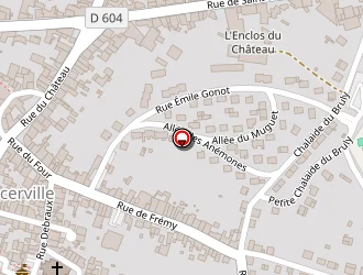 Carte de Coppin Emilie à Ancerville