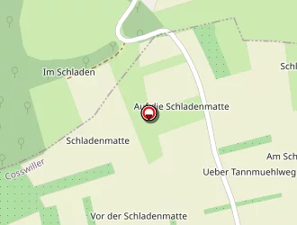 Carte de Cholvin Bernard à Cosswiller