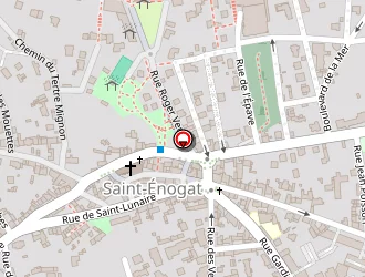 Carte de Fleuriste Blery à Dinard