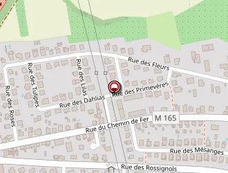 Carte de Taubennest Sébastien à Souffelweyersheim