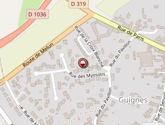 Carte de Tombette Didier à Guignes