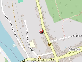 Carte de Ball Trap à Maron