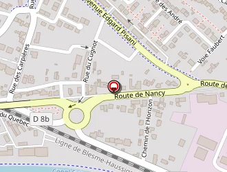 Carte de Navillat Daniel à Saint-dizier