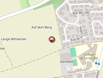 Carte de Koessler Clément à Griesheim-sur-souffel