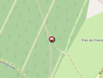 Carte de Office National Des Forêts à Chavigny