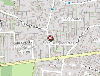 Carte de Gigou Roger à Montlhéry