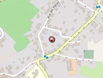 Carte de Ternard Patrice à Domgermain