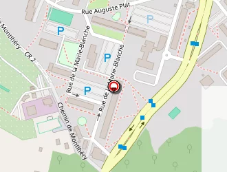 Carte de Ris Energie Services à Ris-orangis