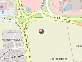 Carte de Anémone Propreté à Mundolsheim