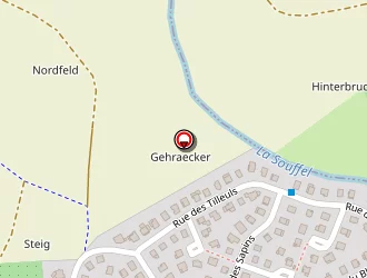 Carte de Mochel Bernard à Mundolsheim