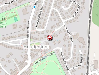 Carte de Richard Jérôme à Houdemont