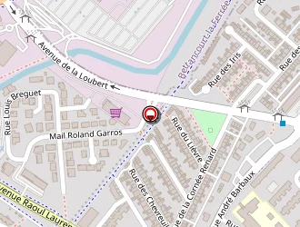 Carte de O Petit Lilie à Saint-dizier