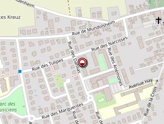 Carte de Bibliothèque Municipale à Reichstett