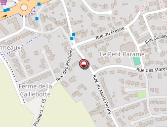 Carte de Fagot Damien à Saint-malo