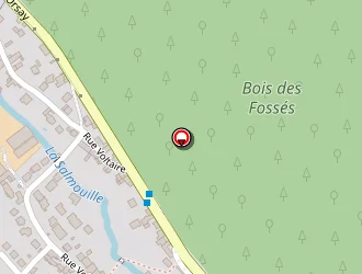 Carte de Sces Vidéo Electroni Informatique à Marcoussis