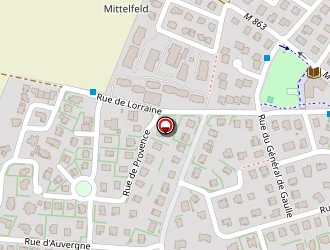 Carte de Metzler Elisabeth à Lampertheim