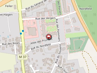 Carte de Segec à Reichstett