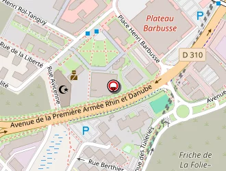 Carte de Fereira-soulas Samanta à Grigny