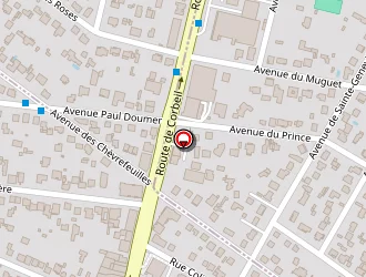 Carte de Prodrive à Sainte-geneviève-des-bois