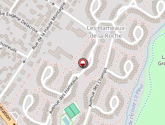 Carte de Perimetre Immobilier à Ris-orangis