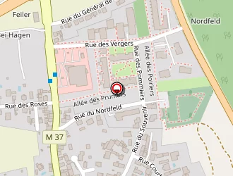 Carte de Maxi Coop à Reichstett