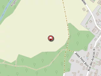 Carte de Cpa à Argentières