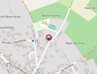 Carte de Pelletier Eric à Chaudeney-sur-moselle