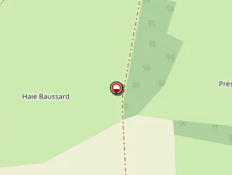 Carte de Stef à Saint-dizier