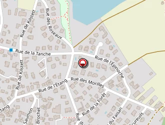 Carte de Erg à Wantzenau (la)