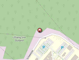 Carte de Mnh à Saint-dizier