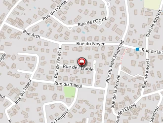 Carte de Infor Conseil Daniel à Wantzenau (la)