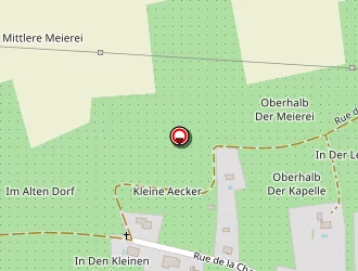 Carte de Urgence (services Locaux) à Birkenwald