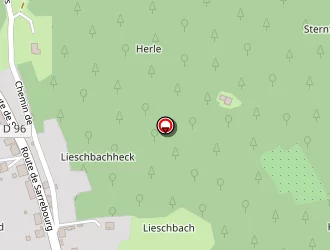 Carte de Meyer Arsène à Walscheid