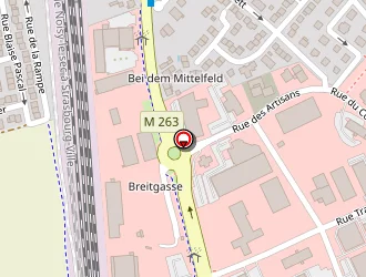 Carte de Cocef à Vendenheim