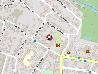 Carte de Ogier Jean Luc à Combs-la-ville