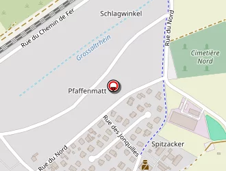 Carte de Qonseilsi à Wantzenau (la)