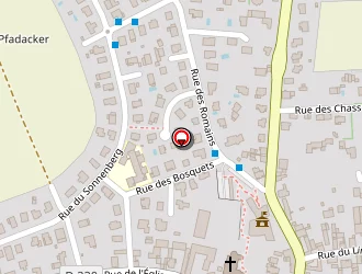 Carte de Prestige Coiffure à Truchtersheim